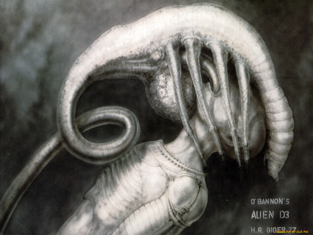 , giger